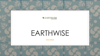 EarthWise Best Sellers The Swedish Dishcloth Revolution