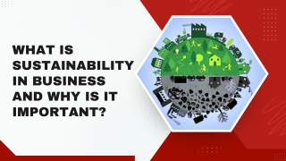 What is Sustainability in Business and Why Is It Important
