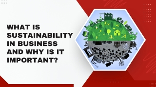 What is Sustainability in Business and Why Is It Important