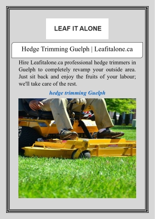 Hedge Trimming Guelph | Leafitalone.ca