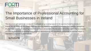 Why Small Businesses in Ireland Need Professional Accounting Support