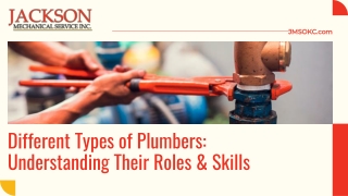 A Guide to Essential Plumber Types