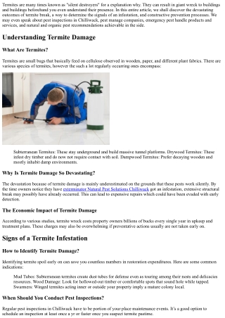 “Why Termite Damage Can Be Devastating and How to Prevent It.”