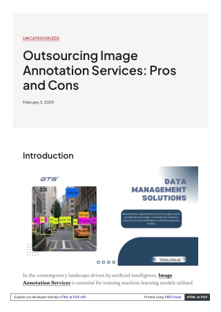 Outsourcing Image Annotation Services Pros and Cons