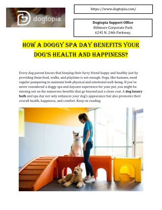 Dogtopia Dog Luxury Bath: A Refreshing & Gentle Grooming Experience