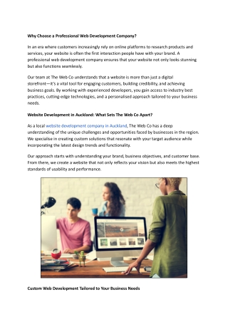 Why Choose a Professional Web Development Company?