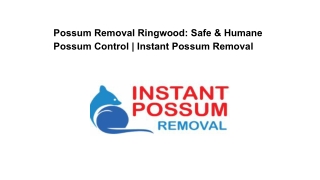 Possum Removal Ringwood_ Safe & Humane Possum Control _ Instant Possum Removal