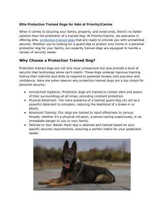 Elite Protection Trained Dogs for Sale at Priority1Canine
