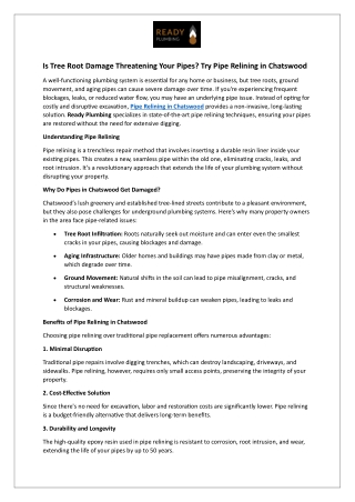 Is Tree Root Damage Threatening Your Pipes - Try Pipe Relining in Chatswood