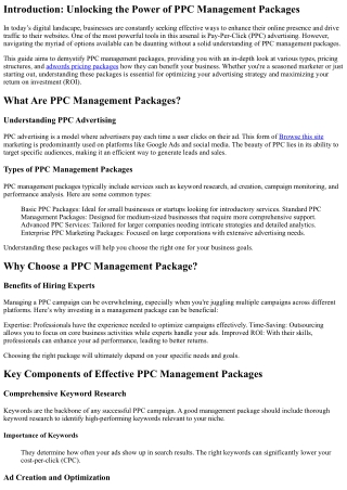 A Comprehensive Guide to PPC Management Packages