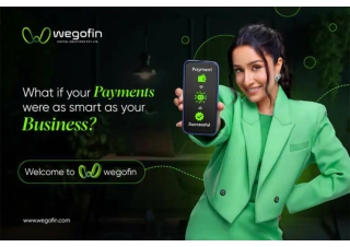 Why WeGoFin is a Game-Changer in Merchant Payment Processing