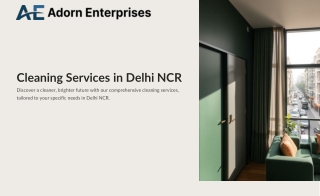 Cleaning-Services-in-Delhi-NCR.pdf