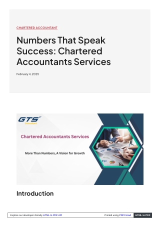 Numbers That Speak Success: Chartered Accountants Services