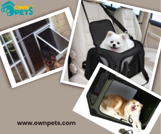 Dog Door: Convenient, Secure Access for Your Pet