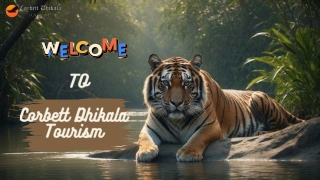 Explore the Wilderness of Jim Corbett National Park | Corbett Dhikala Tourism
