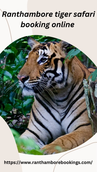Ranthambore tiger safari booking online
