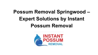 Possum Removal Springwood – Expert Solutions by Instant Possum Removal