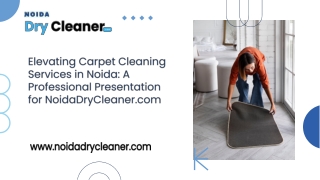 Carpet Cleaning Services in Noida
