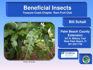 Beneficial Insects - Treasure Coast Rare Fruit Vegetable