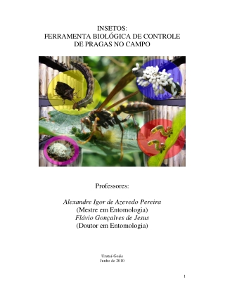 Insetos - Ferramenta Biológica de Pragas no Campo