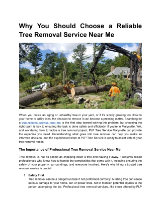 Why You Should Choose a Reliable Tree Removal Service Near Me _ BLOG 1 _ MONTH 2