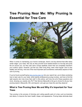 Tree Pruning Near Me_ Why Pruning Is Essential for Tree Care _ BLOG 2 _ MONTH 2