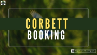 Book Your Jim Corbett Safari – Explore the Wild Today!