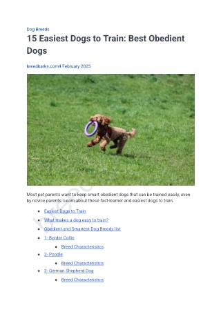 15 Easiest Dogs to Train_ Best Obedient Dogs