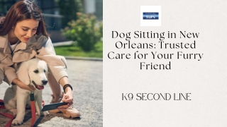 Dog Sitting in New Orleans