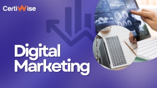 Digital Marketing Training In Chandigarh
