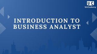 Business Analyst