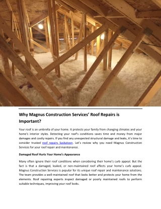 Why Magnus Construction Services’ Roof Repairs is Important?