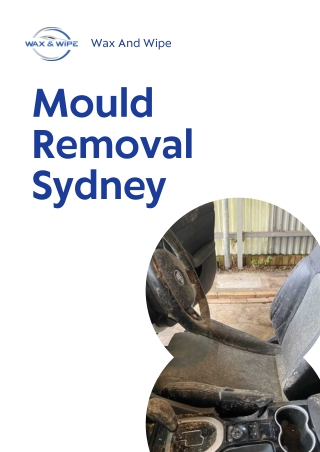 Mould Removal Sydney (1)-output