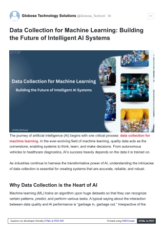 Data Collection for Machine Learning, Building the Future of Intelligent AI Systems