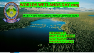 WETLANDS PRESENTATION