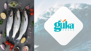 GUKA Fresh business PPT