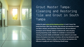 Grout-Master-Tampa-Cleaning-and-Restoring-Tile-and-Grout-in-South-Tampa