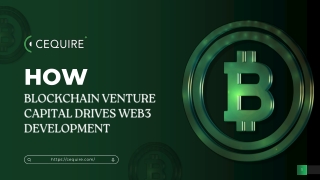 How Blockchain Venture Capital Drives Web3 Development?