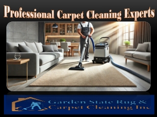 Professional Carpet Cleaning Experts