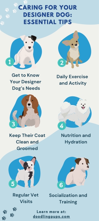 Caring for Your Designer Dog Essential Tips