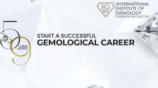 IIG INDIA