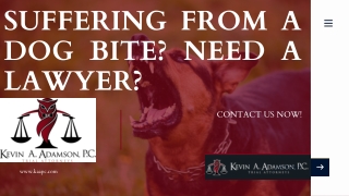 Injured by a Dog Bite? Let Duluth’s Best Lawyer Help You