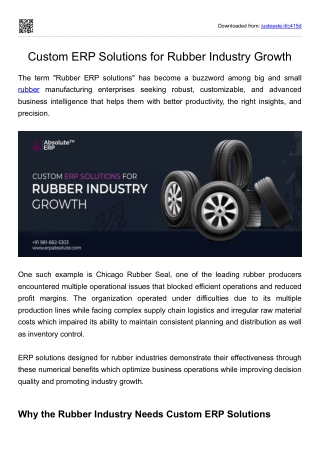 Custom ERP Solutions for Rubber Industry Growth