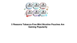 5 Reasons Tobacco-Free Mint Nicotine Pouches Are Gaining Popularity