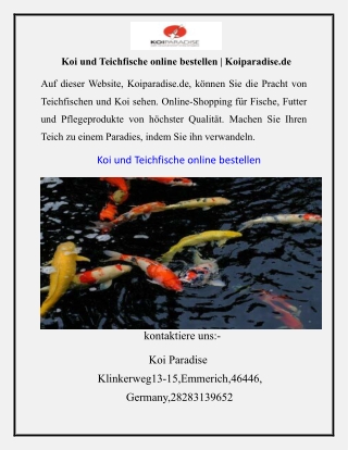 Koi und Teichfische online bestellen Koiparadise.de