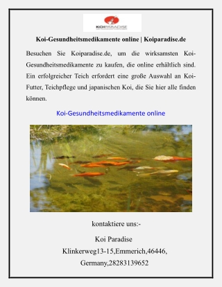 Koi-Gesundheitsmedikamente online Koiparadise.de (1)