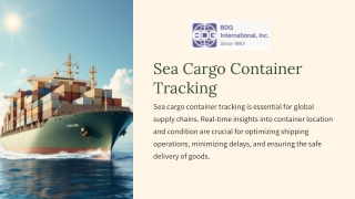 Sea Cargo Container Tracking | BDG International Inc.