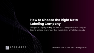 Data Labeling: The Ultimate Guide to Choosing a Company | Labellerr