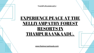 Experience peace at the Nelliyampathy Forest Resorts in Thampuraankaadu.