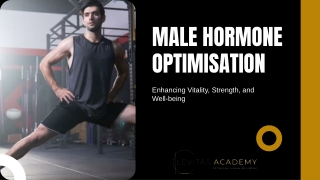 Male Hormone Optimisation